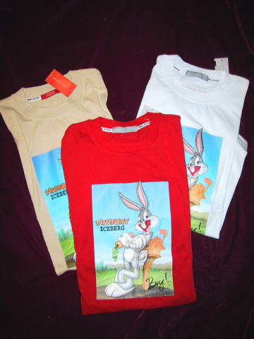 9Iceberg History Tees Shirts.jpg (205708 bytes)